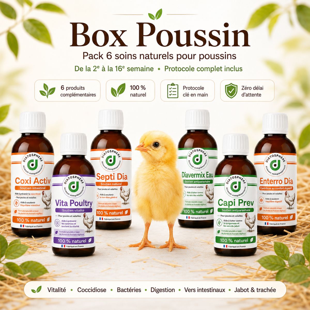 Box Poussin – 6 soins naturels pour bien démarrer