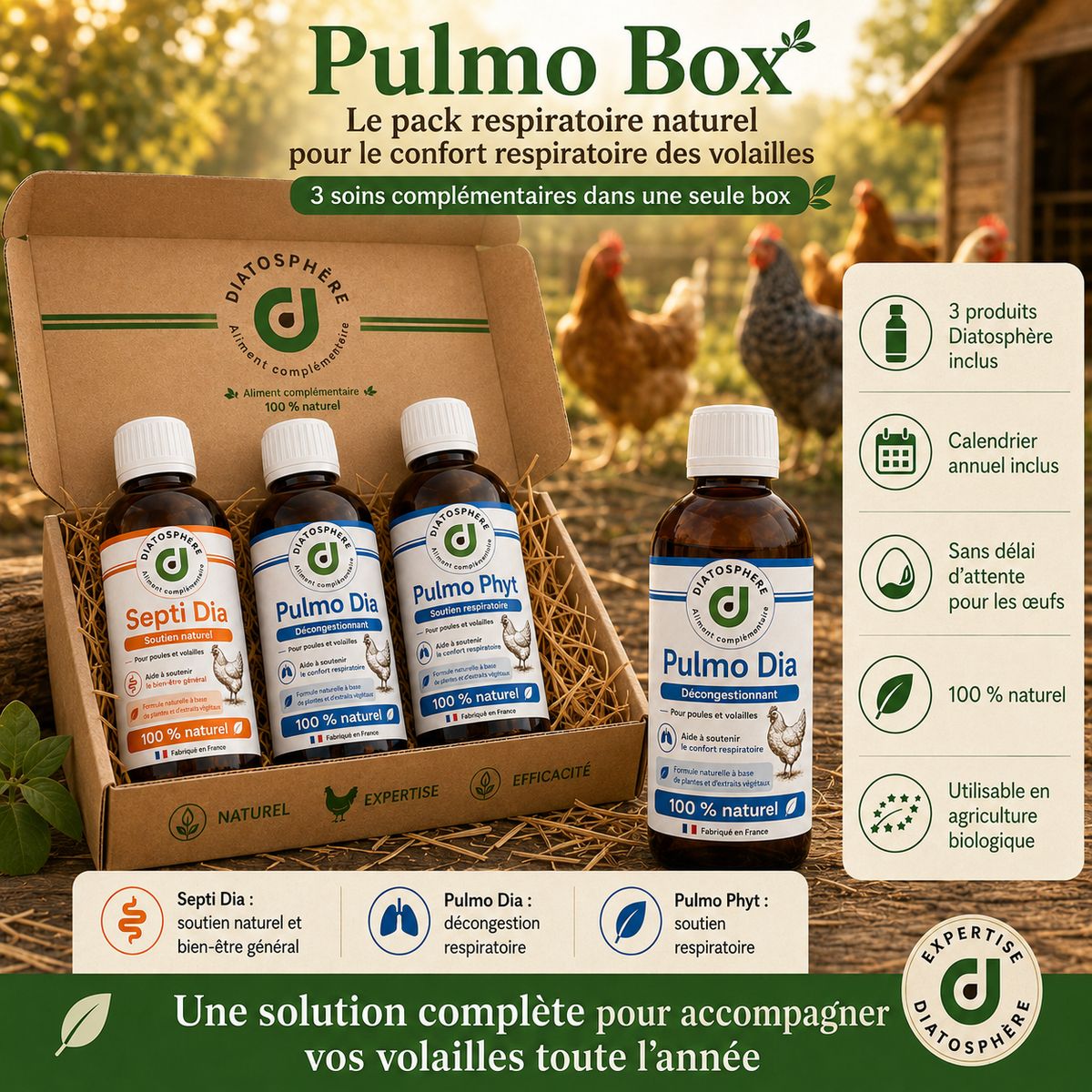 pulmo box soint complet pour traiter le coryza des poules