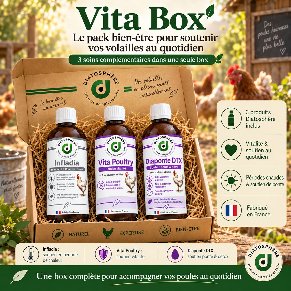 vita box pour la vitalte des poules et lapins