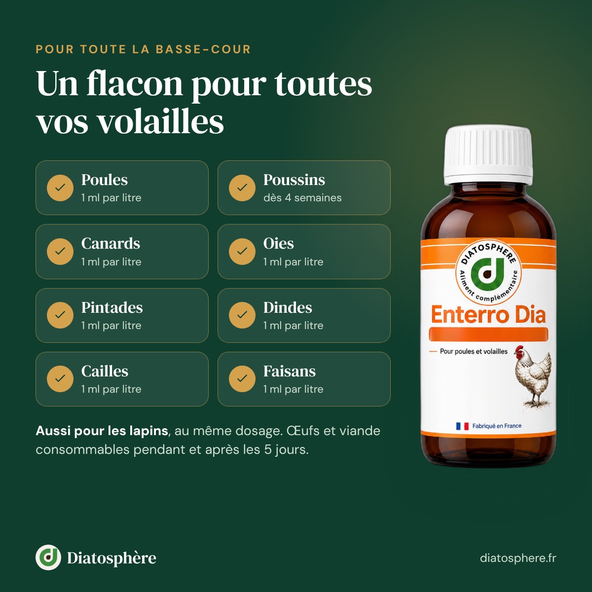 Enterro Dia pour poules, poussins dès 4 semaines, canards, oies, pintades, dindes, cailles et faisans