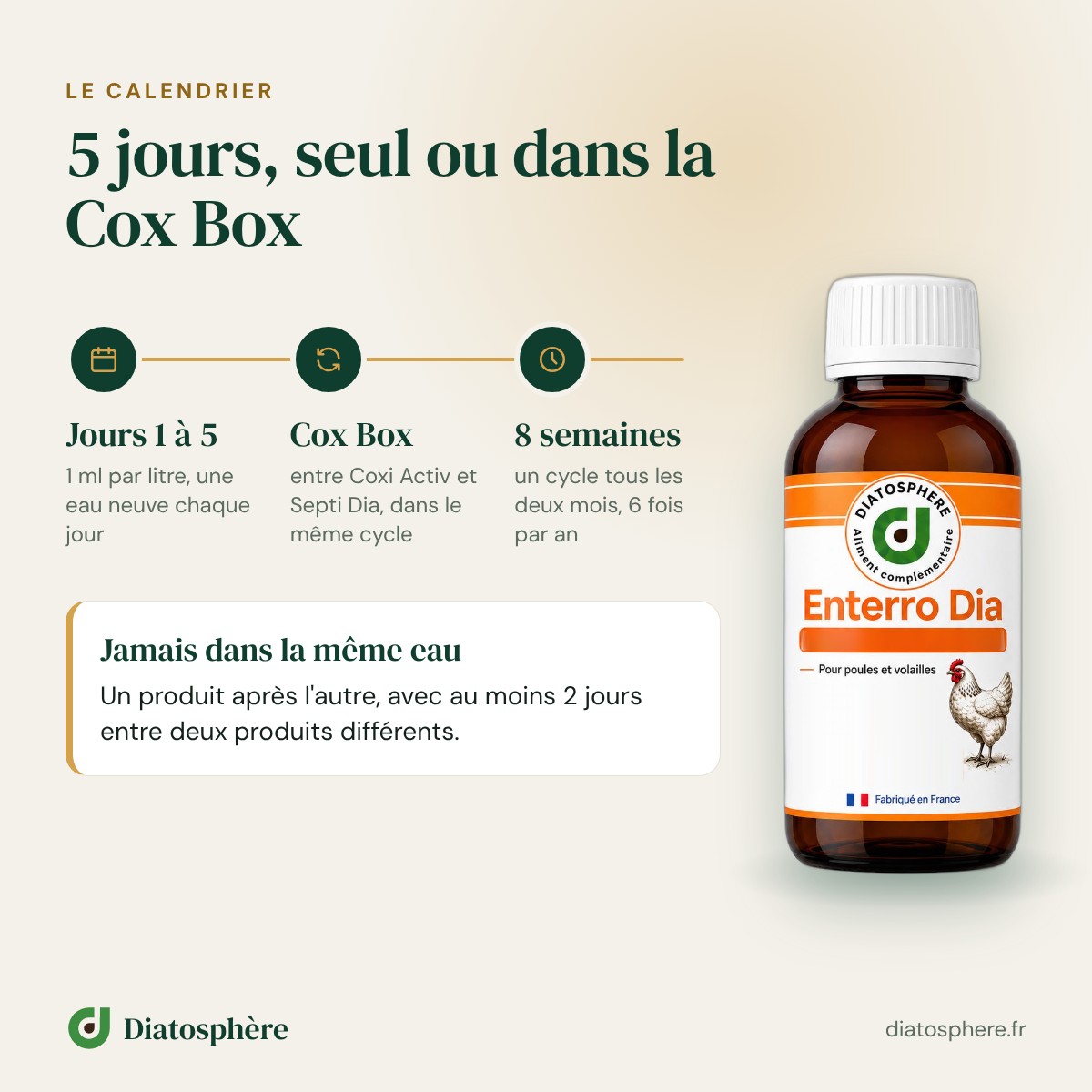 Calendrier Enterro Dia : 5 jours, seul ou dans le cycle Cox Box, toutes les 8 semaines