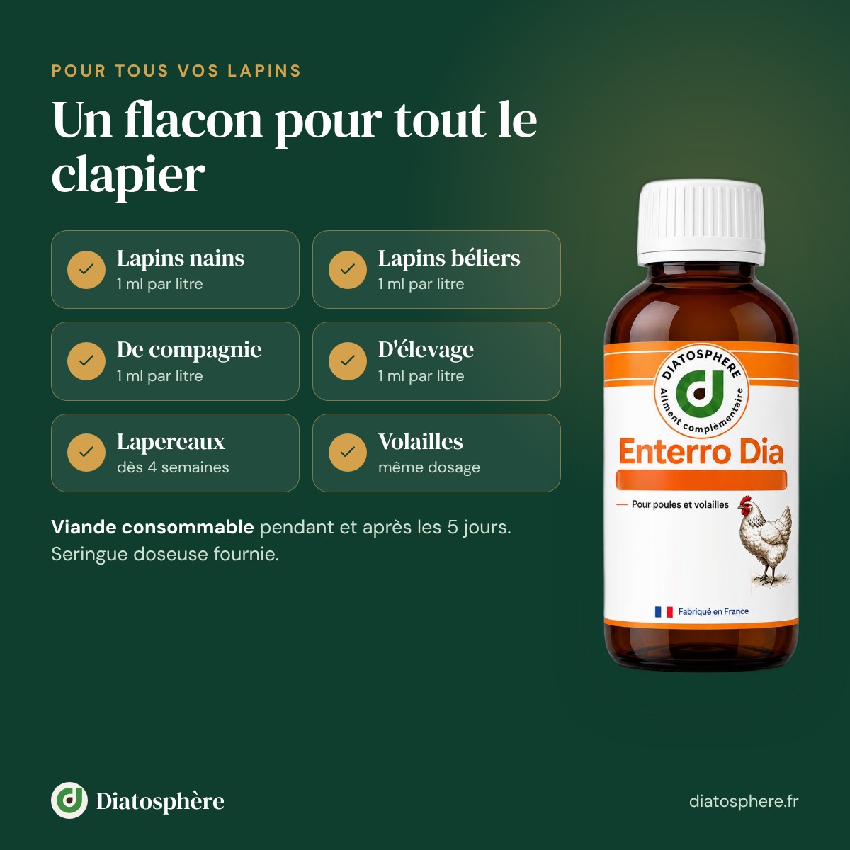 Enterro Dia pour lapins nains, béliers, de compagnie, délevage et lapereaux dès 4 semaines