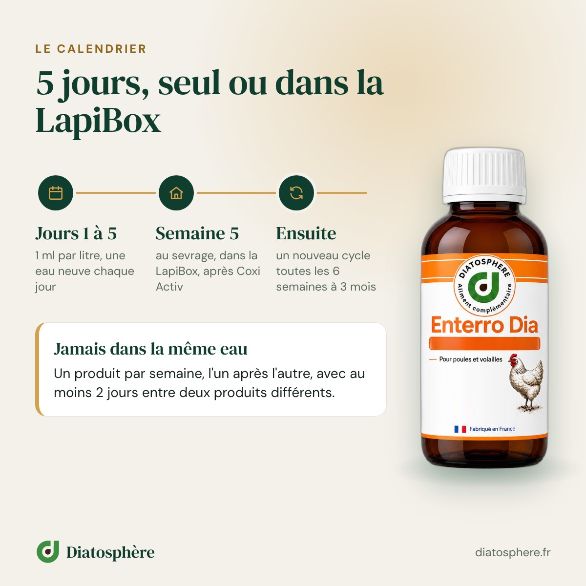 Calendrier Enterro Dia lapin : 5 jours, seul ou dans la LapiBox, dès le sevrage