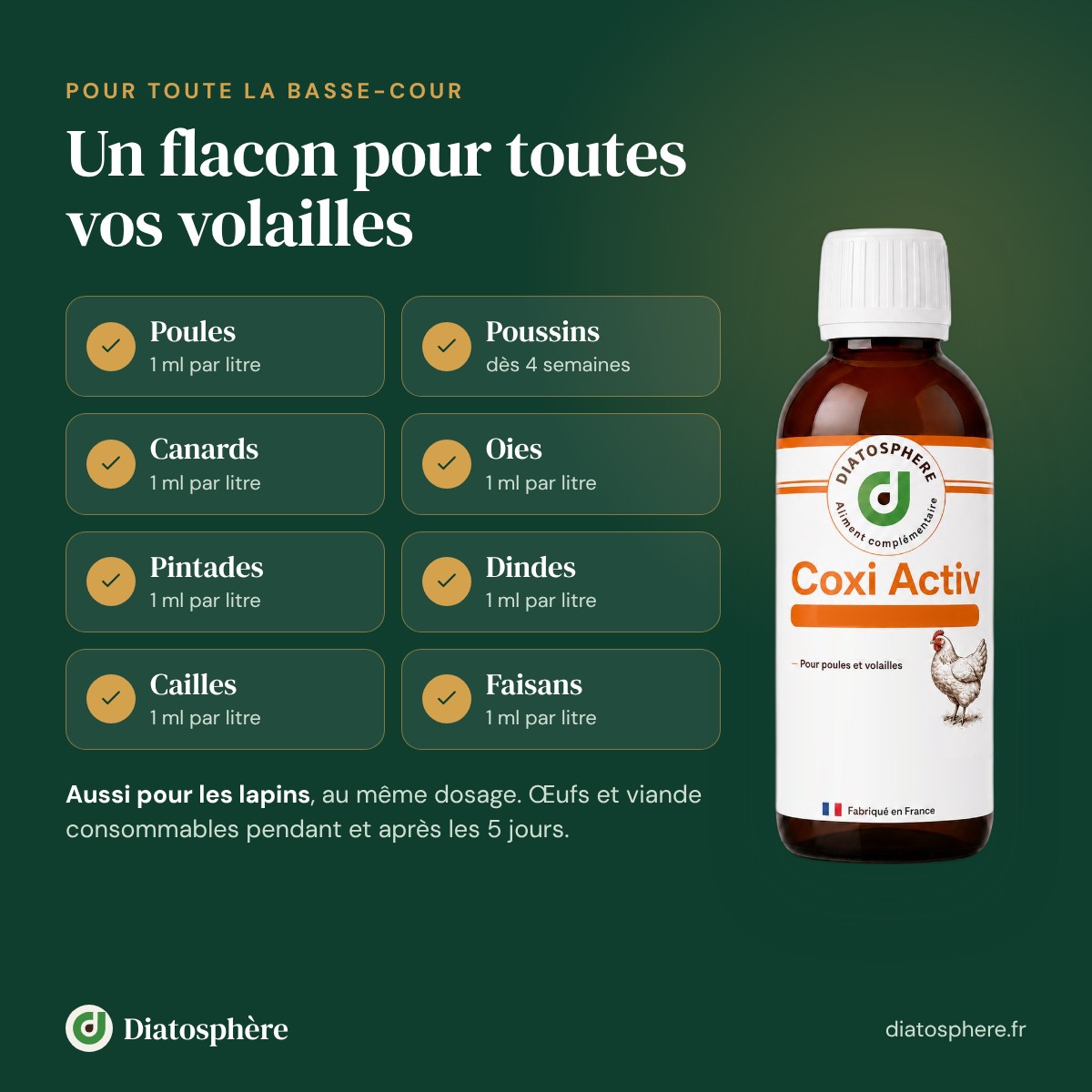 Coxi Activ pour poules, poussins dès 4 semaines, canards, oies, pintades, dindes, cailles et faisans