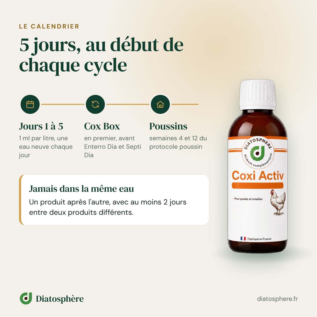 Calendrier Coxi Activ : 5 jours au début de chaque cycle Cox Box, semaines 4 et 12 pour les poussins