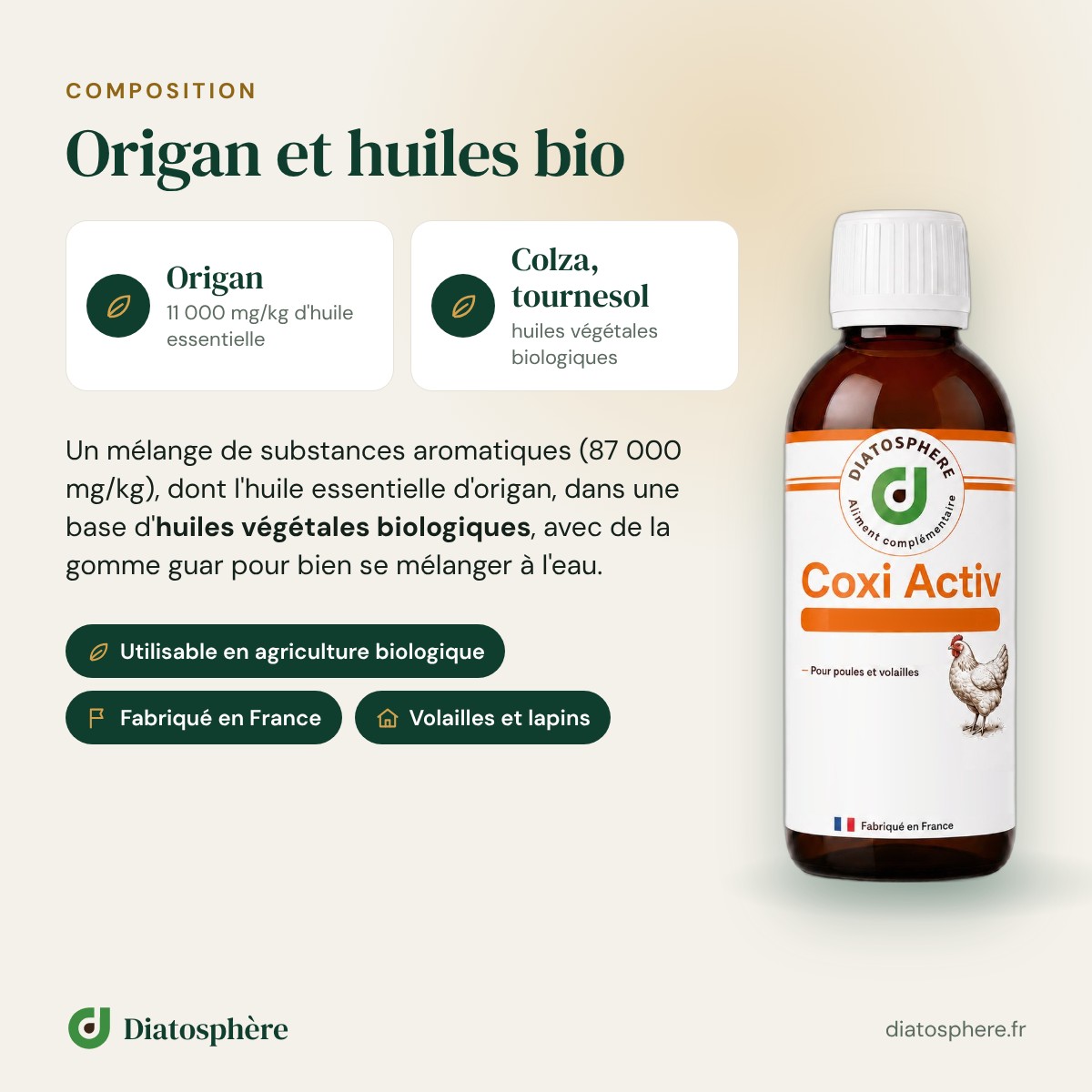 Composition Coxi Activ : huile essentielle dorigan et huiles végétales biologiques
