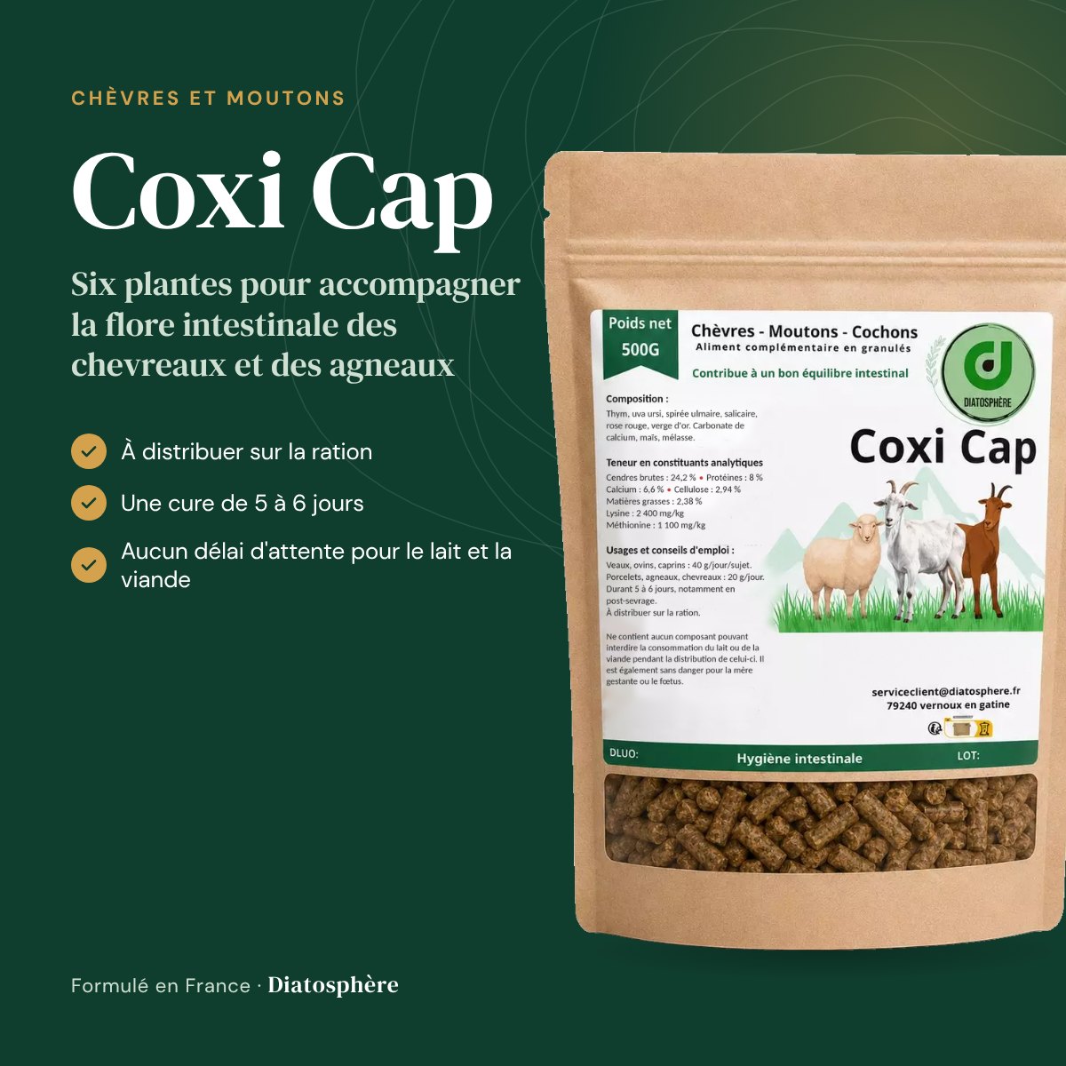Coxi Cap : six plantes pour la flore intestinale des chevreaux et des agneaux au sevrage
