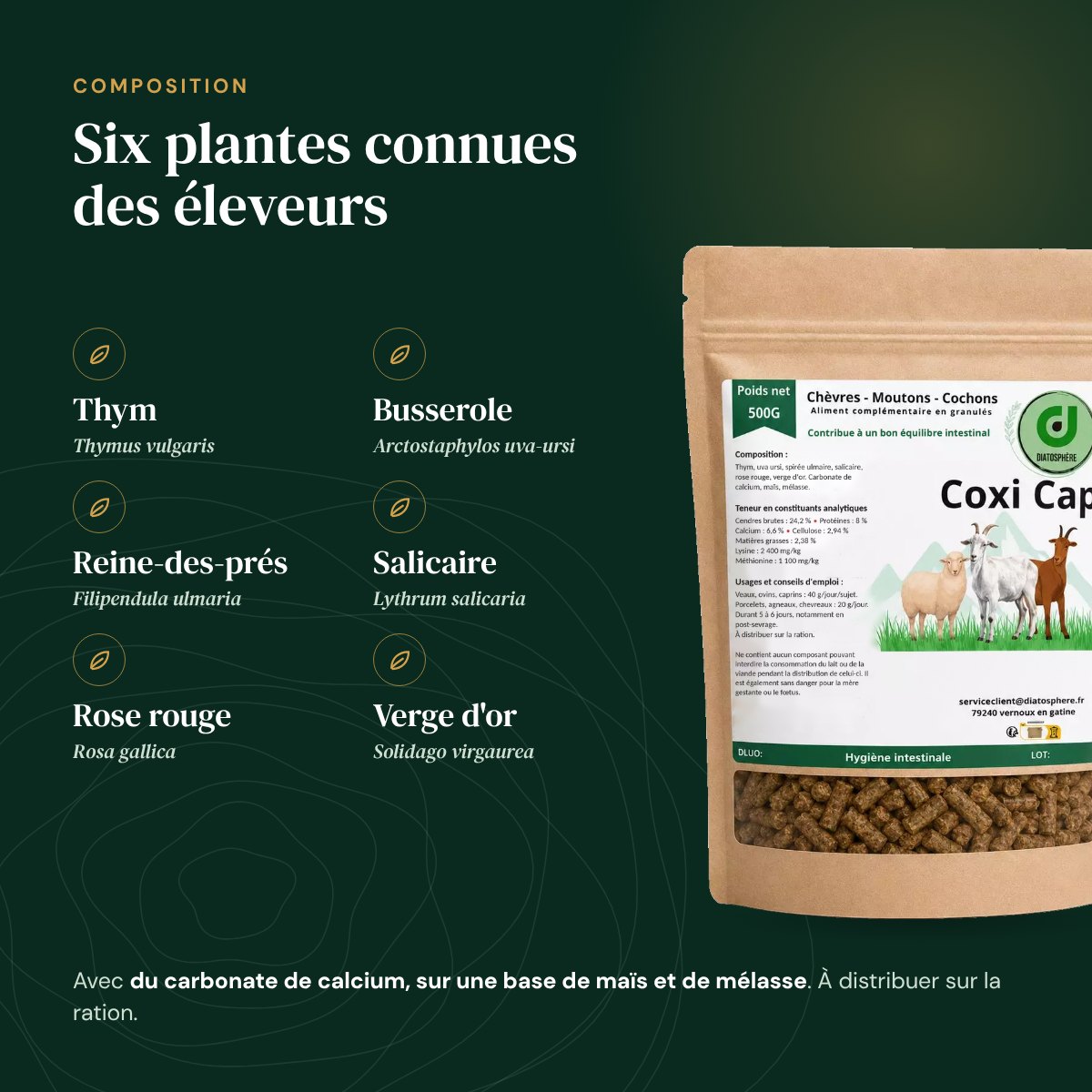 Composition de Coxi Cap : thym, busserole, reine-des-prés, salicaire, rose rouge, verge dor