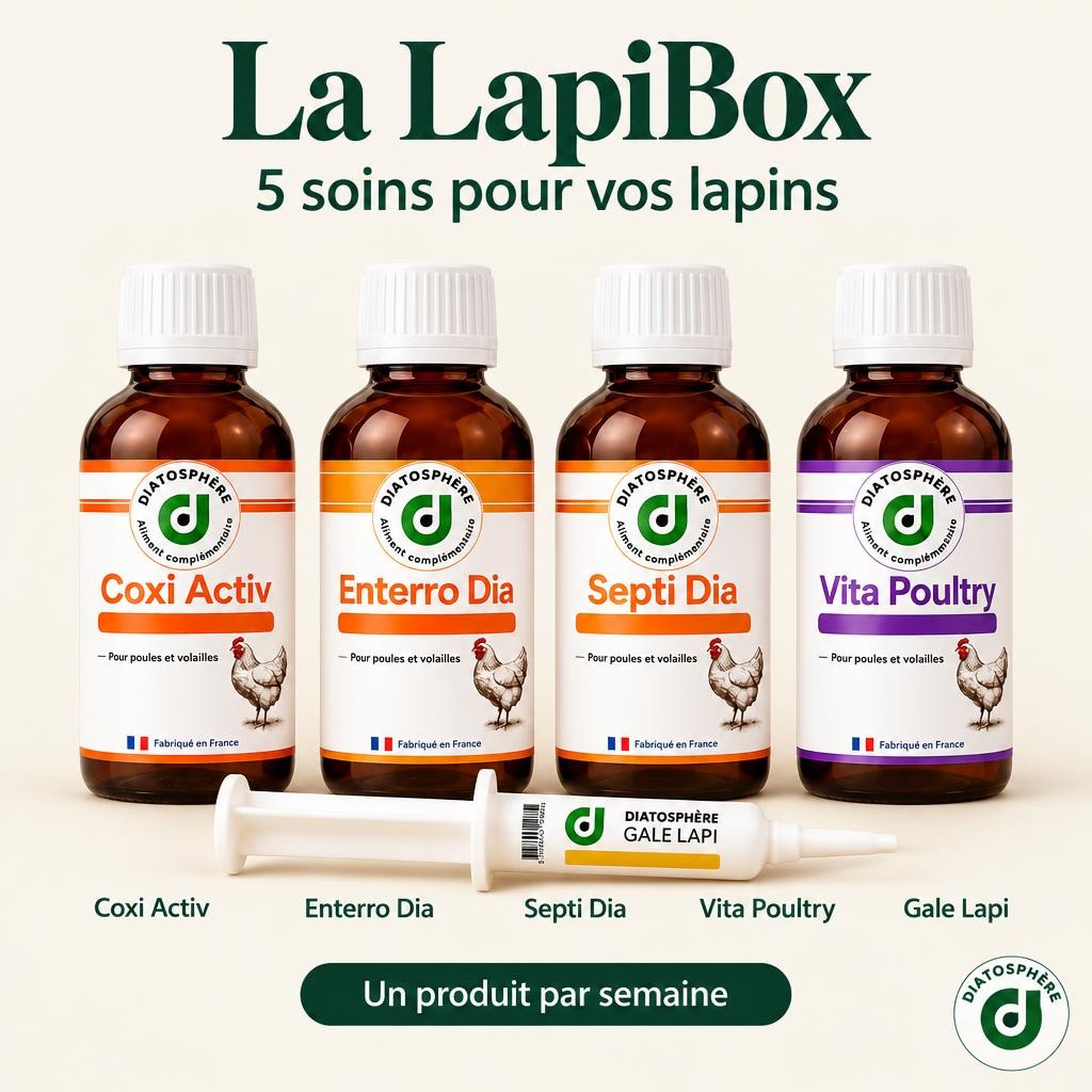 La LapiBox Diatosphère : 5 soins pour vos lapins, un produit par semaine