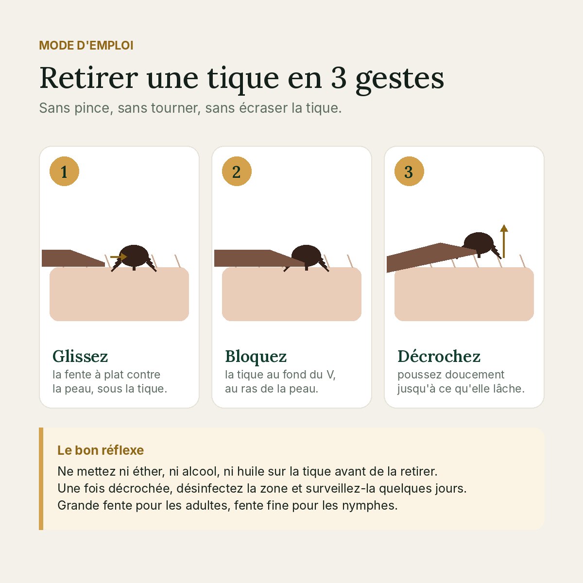 Mode demploi Tikatik : glisser, bloquer la tique au fond du V puis la décrocher
