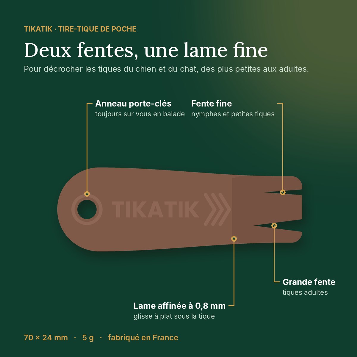 Tikatik vu de dessus : grande fente, fente fine, lame affinée et anneau porte-clés