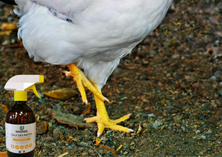 produit pour lutté contre la gale des pattes des poules -gale lapin -gale pour les animaux de la ferme -soin des pattes -santé des pattes
