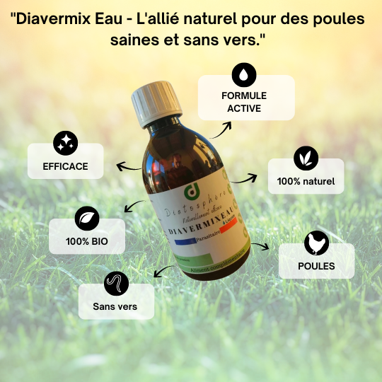 Diavermix Eau - L'allié naturel pour des poules saines et sans vers. (1)