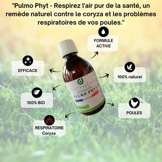 Pulmo Phyt - Respirez l'air pur de la santé, un remède naturel contre le coryza et les problèmes respiratoires de vos poules.