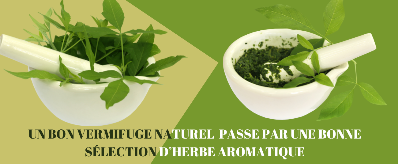 vermifuge naturel poule