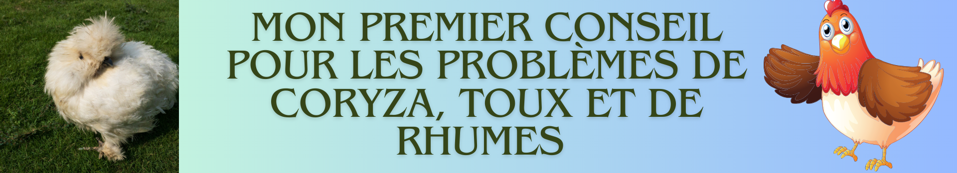 pb pulmonaire poules