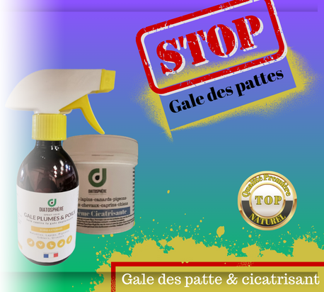 STOP GALE DES PATTE 