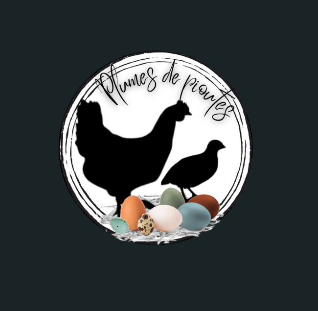 SITE LES PLUMES DE PIOUTES