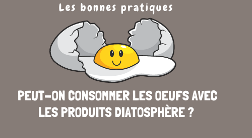 les bonnes pratiques peut on consomme les oeufs