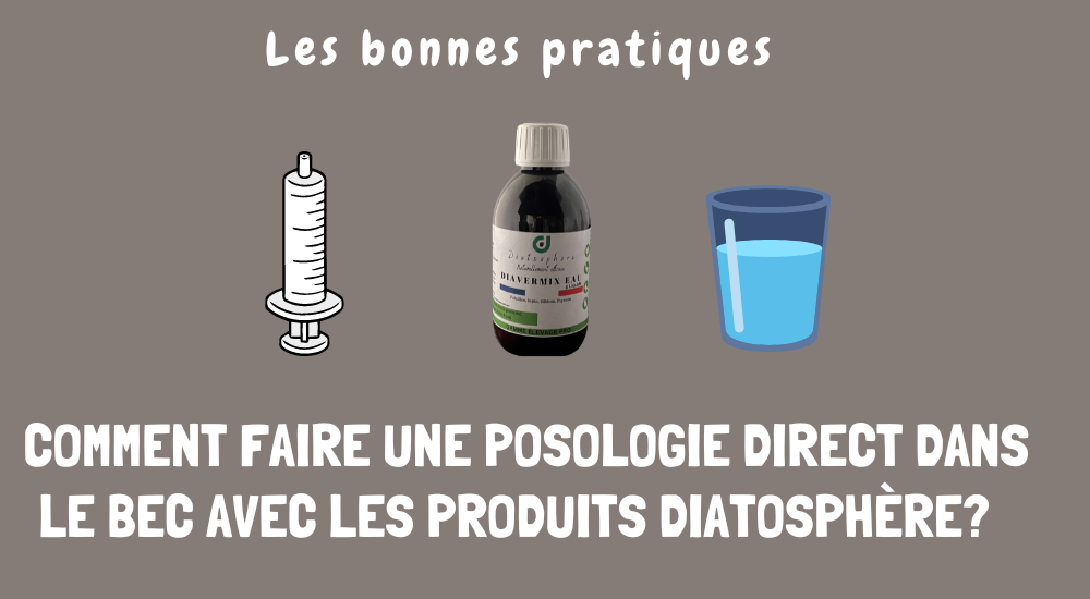 posologie direct dans le bec 1