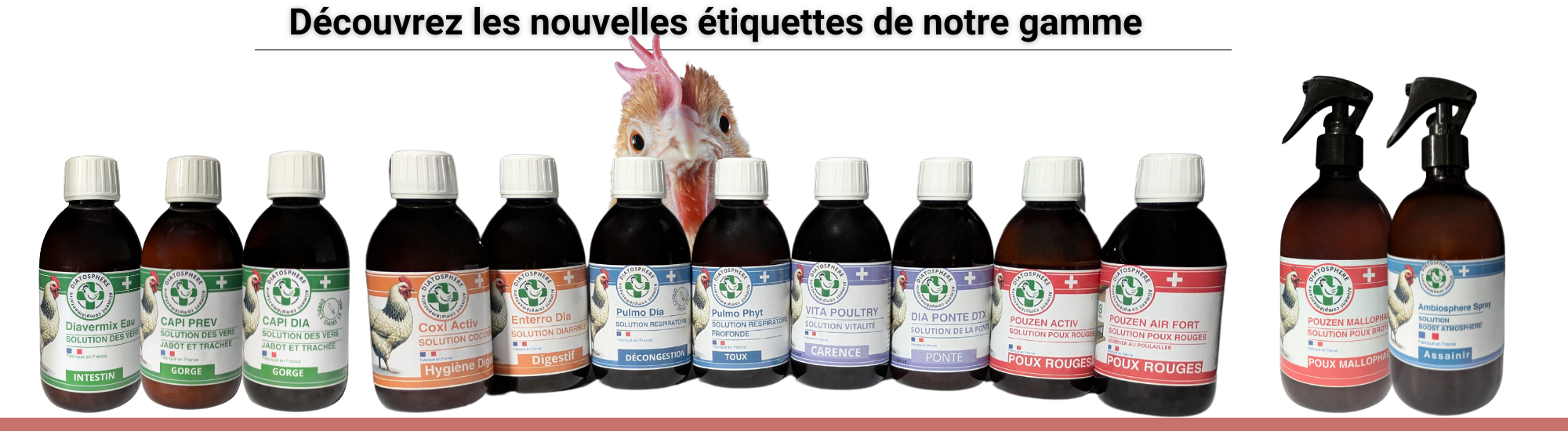 produits ditosphere 3