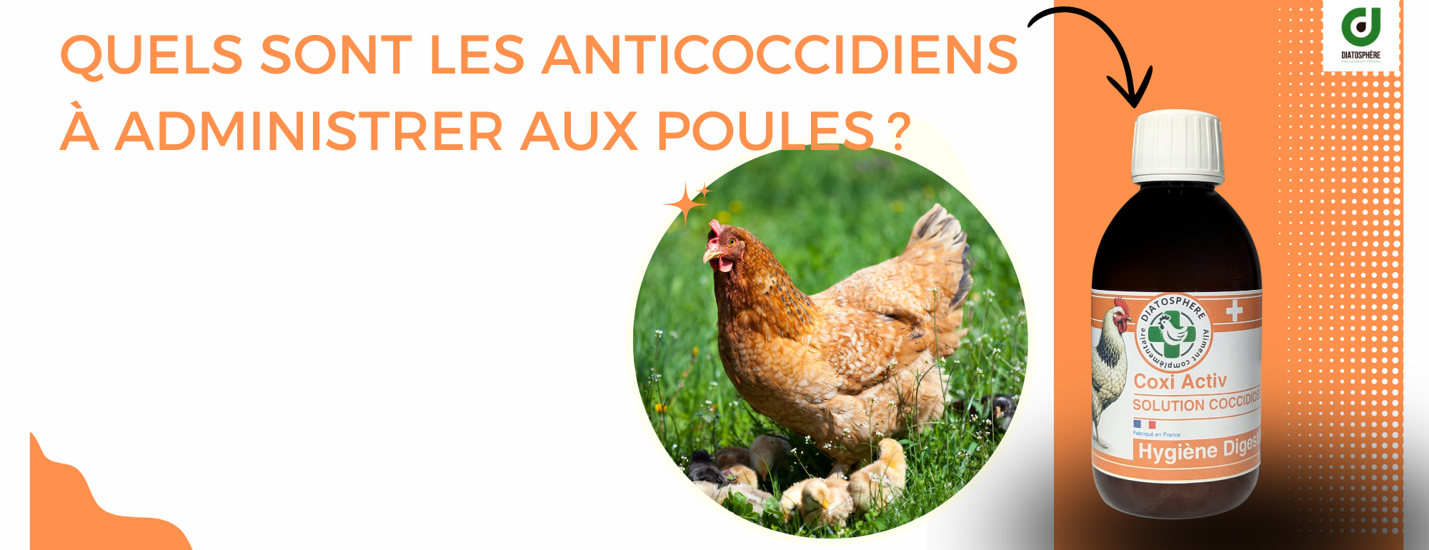 quels sont les anticoccidiens a administrer aux poules