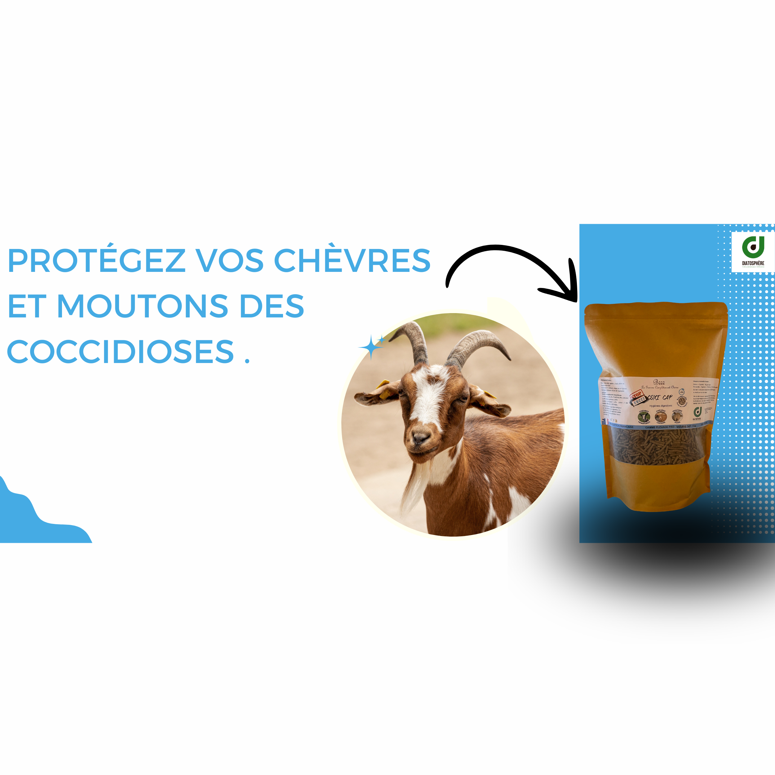 design sans titre