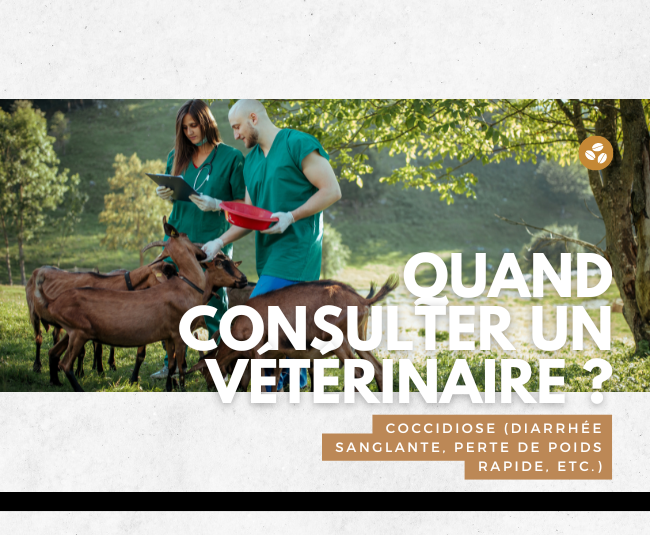 company profile