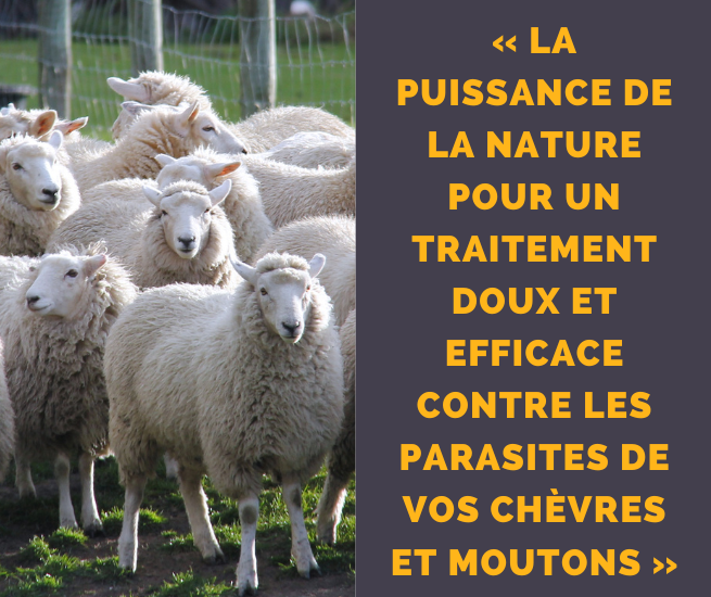 la puissance de la nature