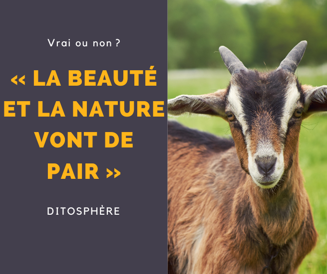 la beaute et la nature vont de pair