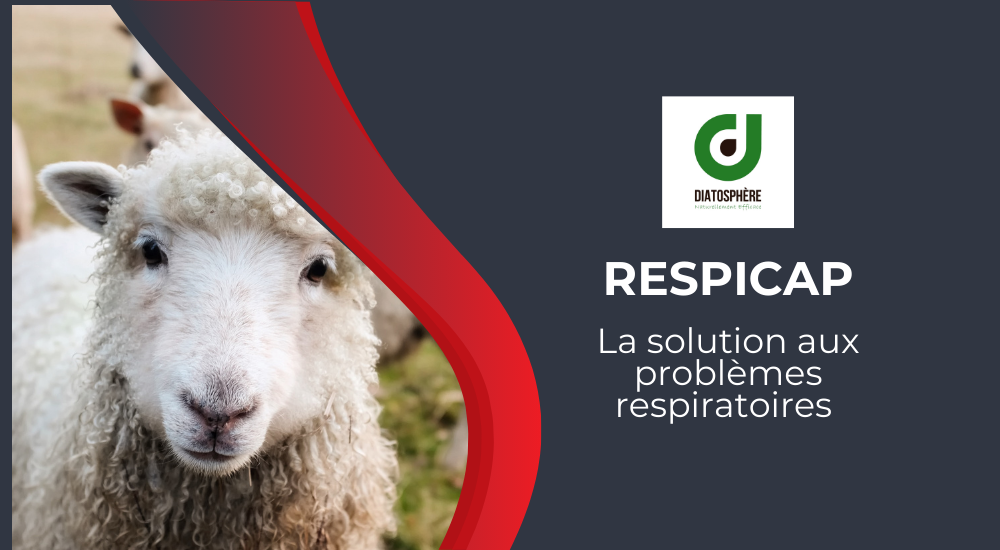 respi cap - diatosphère 