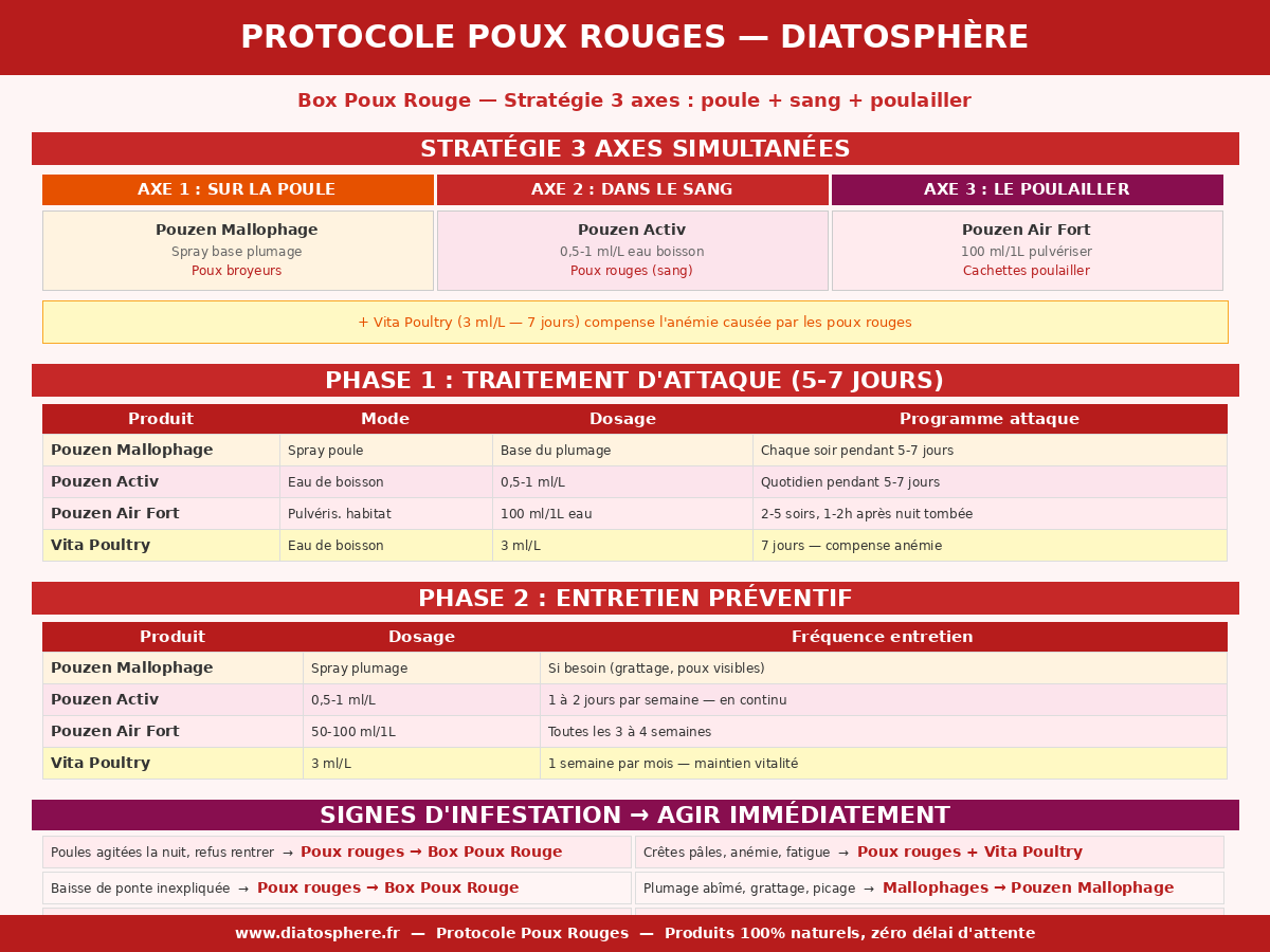 Calendrier protocole poux rouges poule Diatosphere — traitement d'attaque 3 axes simultanes et entretien preventif avec les 4 produits naturels Box Poux Rouge