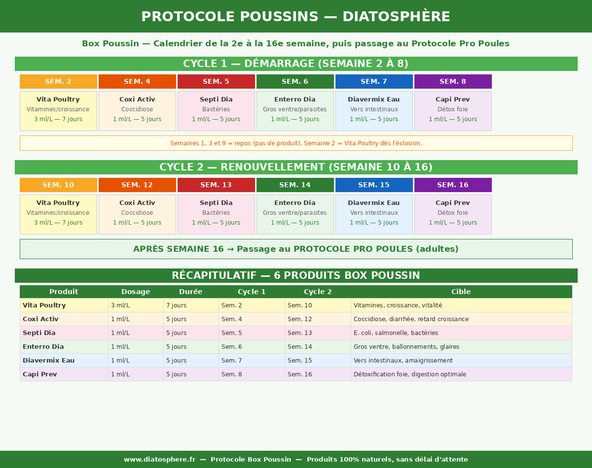 Calendrier protocole poussin Diatosphere — programme Box Poussin de la semaine 2 a la semaine 16, 6 produits naturels, 2 cycles puis passage adulte