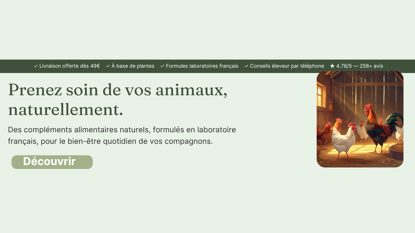 Gamme de produit pour soins naturels des volailles