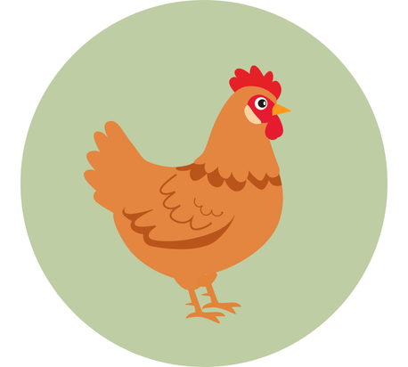 poules & basse-cou