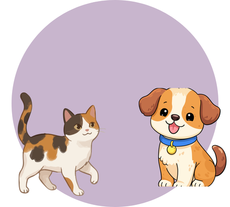 chien et chat 1
