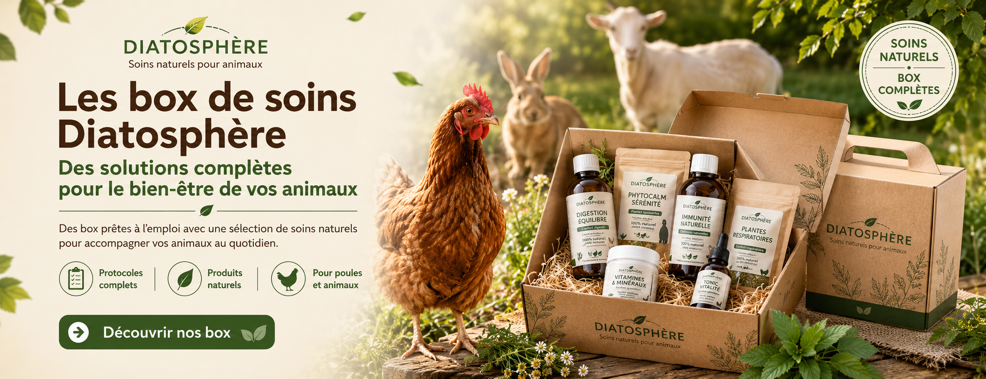 box de soins pour les poules