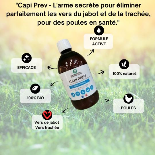 Capi prev jabot gonflé et vers de jabot , capillariose 