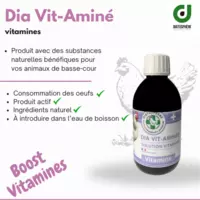 Flacon Dia Vit-Aminé