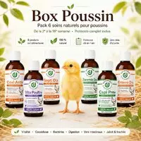 Coffret Box Poussin