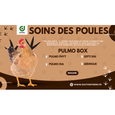 "Pulmo Box - L'arme naturelle pour combattre rhume et coryza, offrez à vos poules la respiration sereine qu'elles méritent."