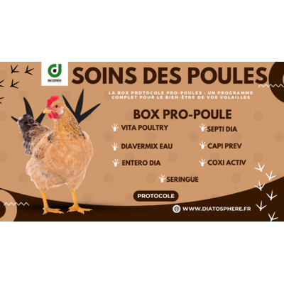La Box Protocole Pro-Poules : Un programme complet pour le bien-être de vos volailles