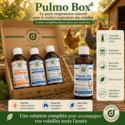 pulmo box soint complet pour traiter le coryza des poules