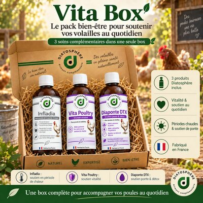 vita box pour la vitalte des poules et lapins