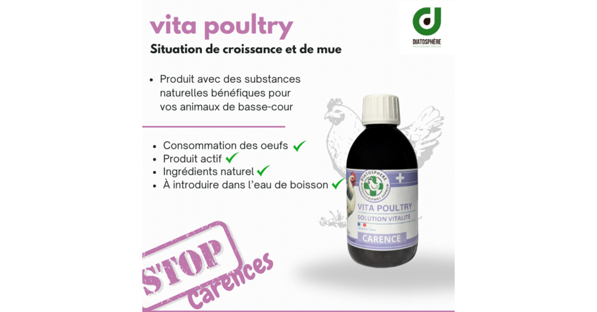 Complément Alimentaire Ail Vital Pour Poules Et Volailles - 250 Ml - Soutien Respiratoire Et Intestinal - À Ajouter à L'eau De Boisson