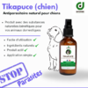 tikapuce chien (1)