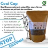 Coxi Cap- produit contre la coccidiose des chèvre et mouton