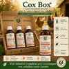 Cox box produit contre les problème de coccidiose de diarrhèe et contre les bac(èries de la poule