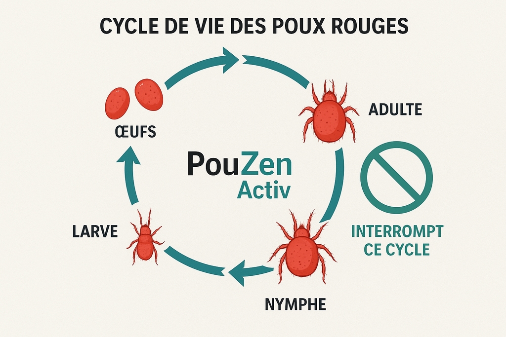PouZen Activ - Traitement Naturel Efficace Contre les Poux Rouges des ...