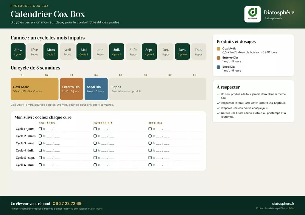 Calendrier annuel du protocole Cox Box Diatosphère : 6 cycles avec Coxi Activ, Enterro Dia et Septi Dia